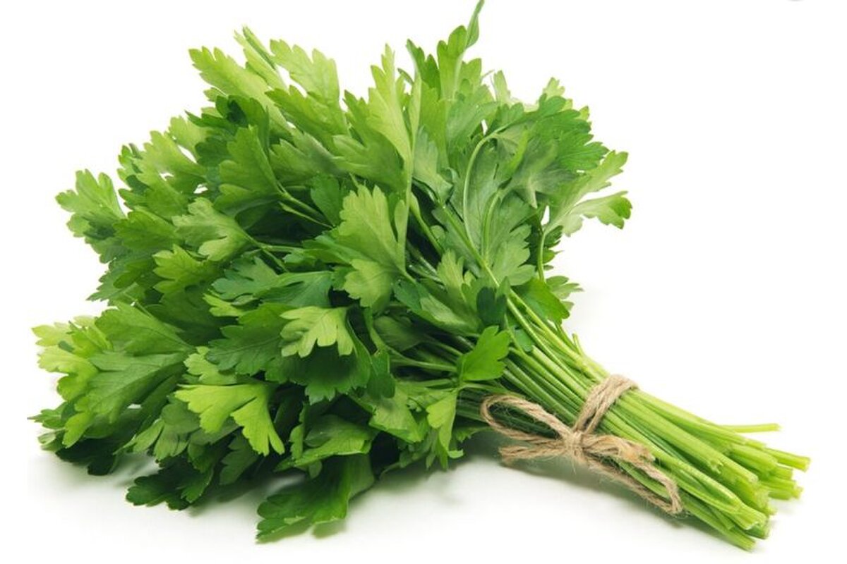 Vňať petržlenová hladká 30 g zväzok