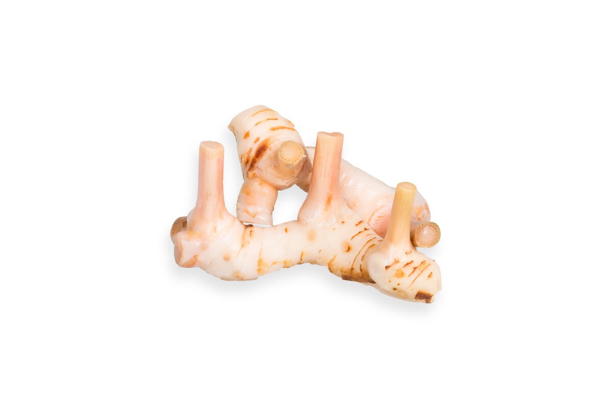Galangal (Galangalový koreň) 100 g