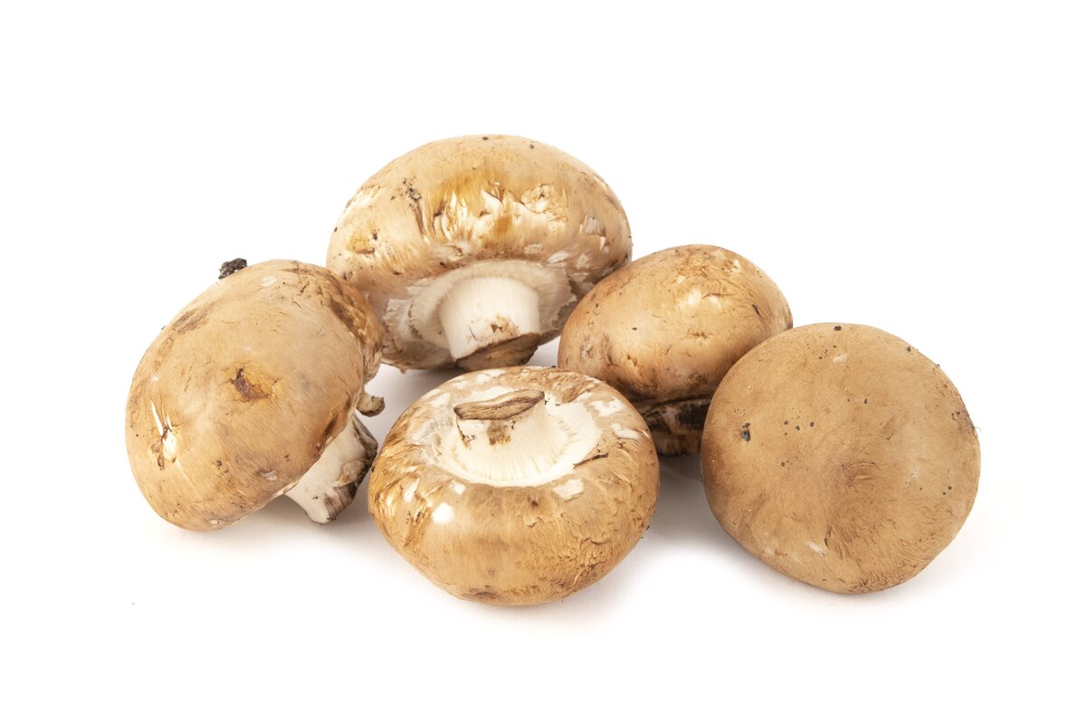 Hríby Šampiňóny hnedé 500 g