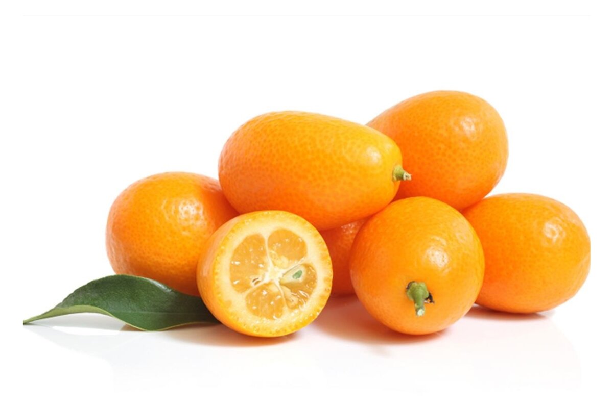 Kumquat