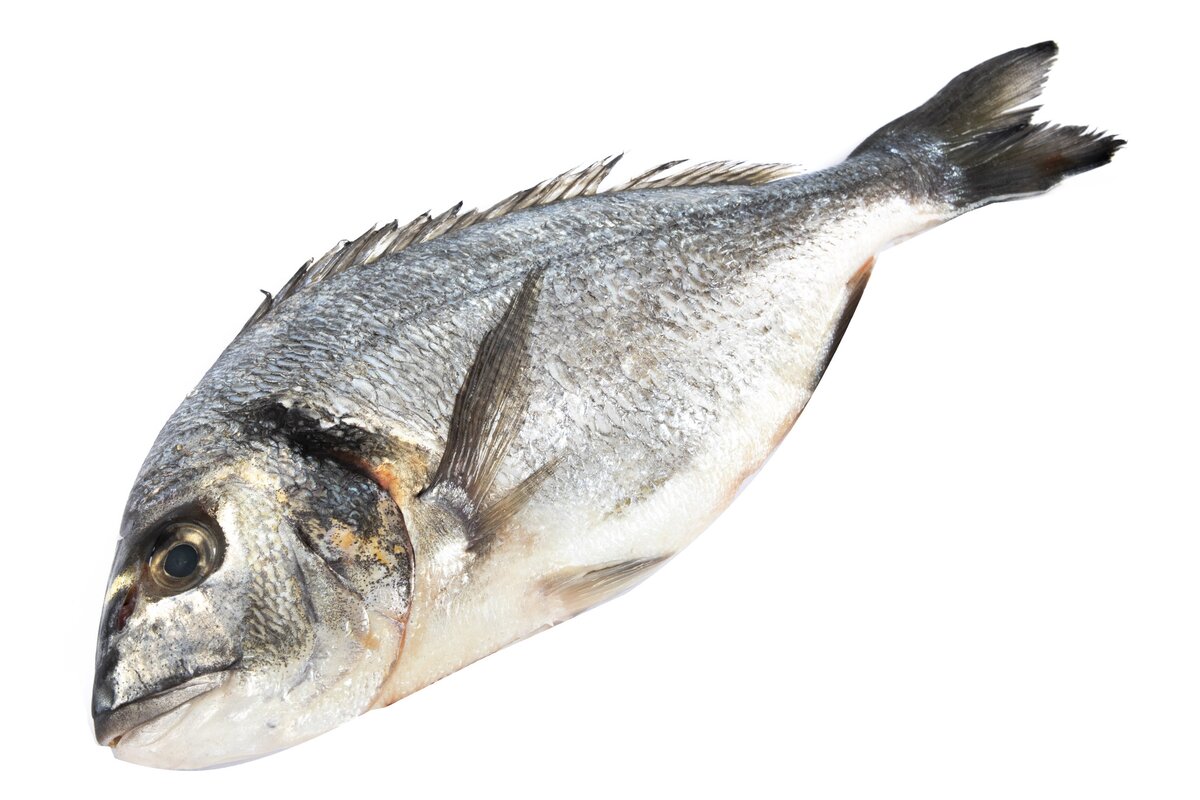 Ryba Pražma zlatá chladená 350 - 450 g