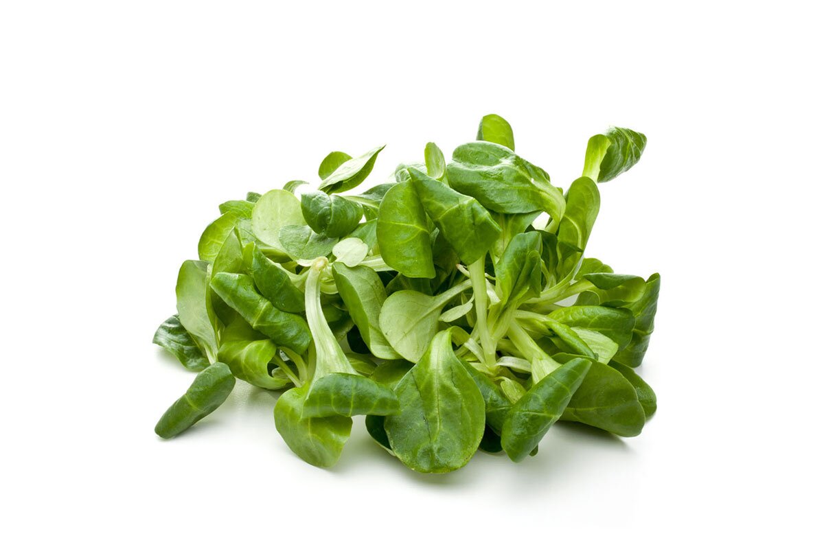 Valerián 125 g vanička